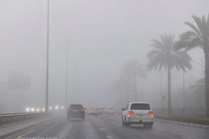 UAE Heatwave Soars to 49°C as High Humidity and Fog Return Over Weekend